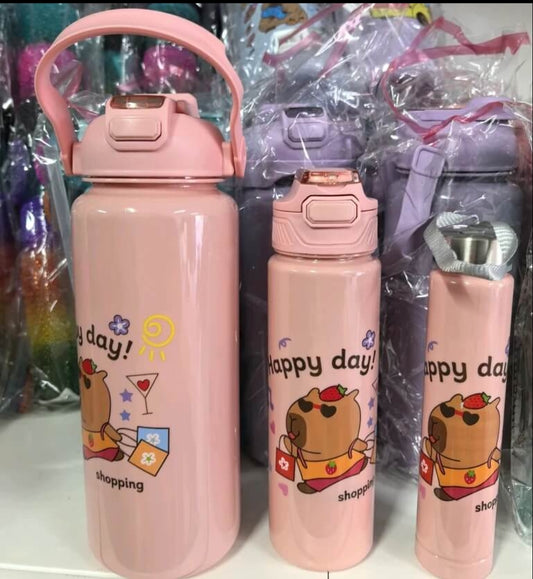 3 Piece Water Bottle Set